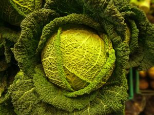 low calorie cabbage soup